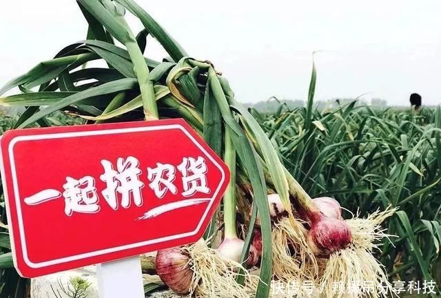 快手拆红包真给100元嘛