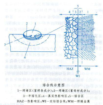 焊接)熔合线是指焊接接头横截面宏观腐蚀所显示的焊缝轮廓线