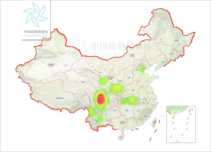 產於陝西,甘肅,湖北,四川,貴州,雲南等省.