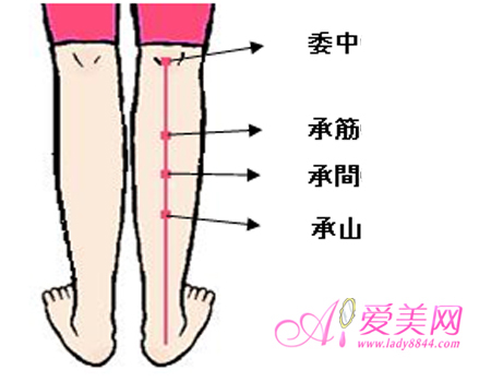 承筋穴_360百科