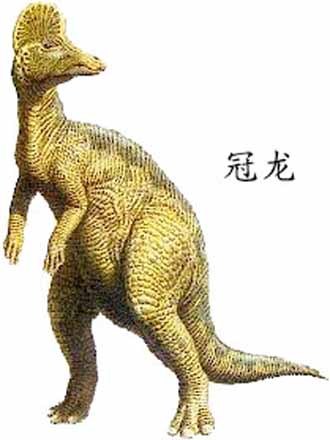 冠龙_360百科