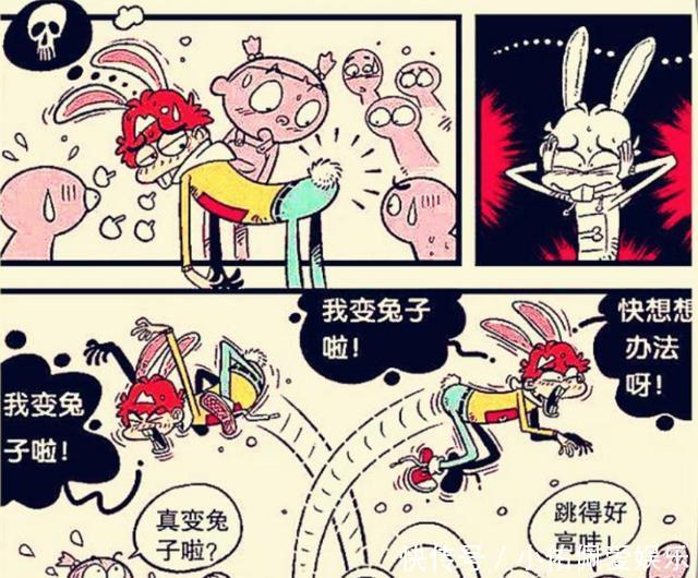 兔子有什么兔子