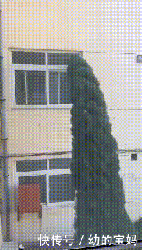 什么动物春天来了