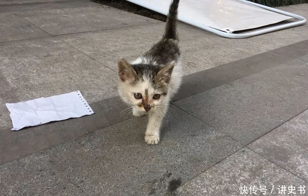 香港在重庆那边