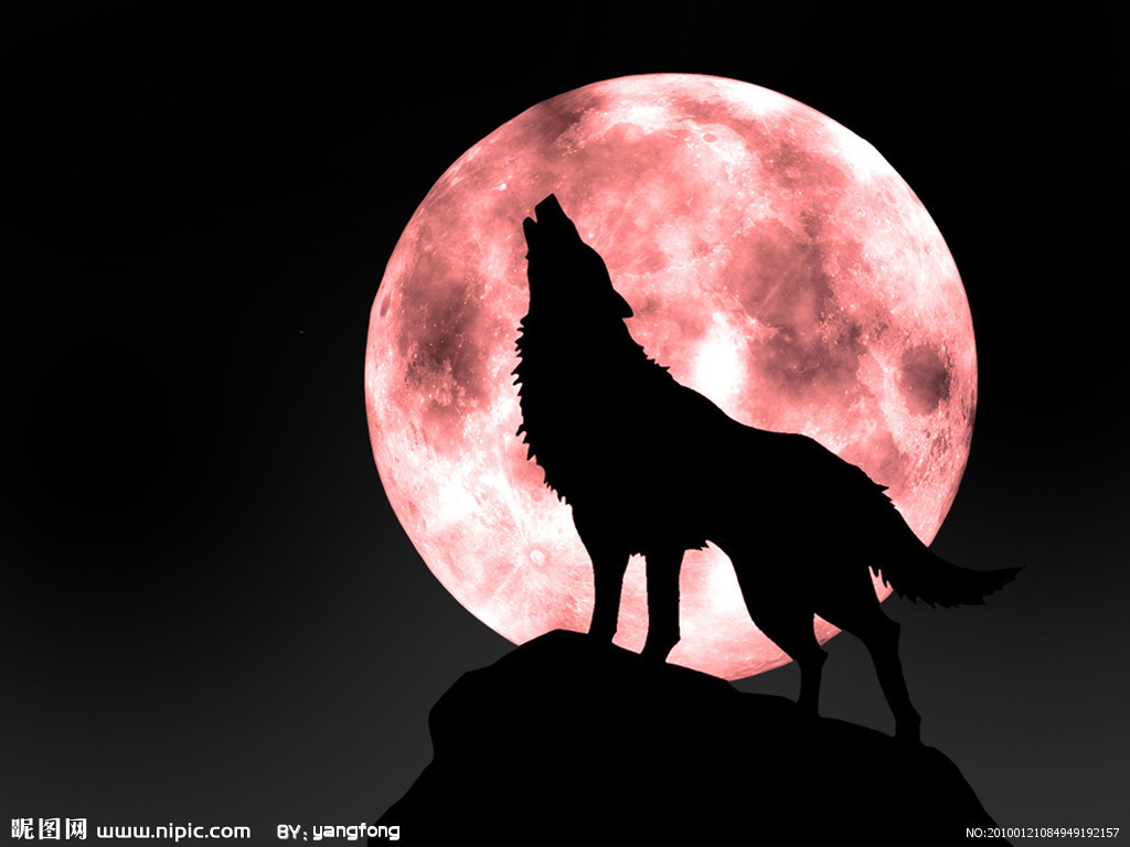 1月の満月を「狼月」「ウルフムーン」「Wolf Moon」と呼ぶ | タクティールタッチ 東瀬戸久子のブログ
