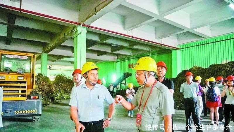 垃圾分类细分类