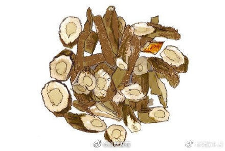 新型肺炎1月数据