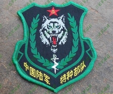 陆军特种作战学院臂章图片