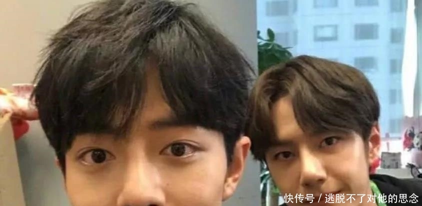 王一博主要工作是什么