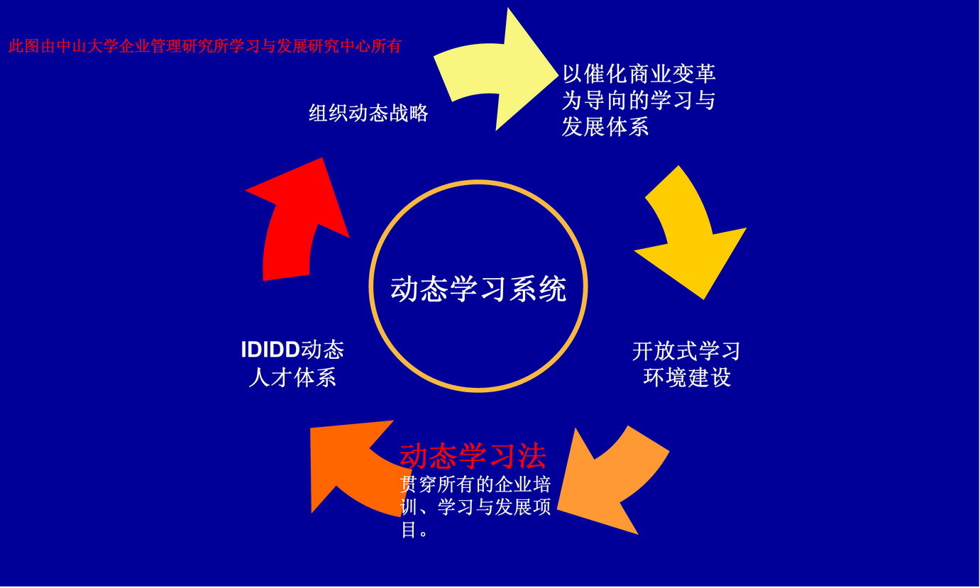 深入理解动态域名解析在网络安全中的应用 (把握动态)