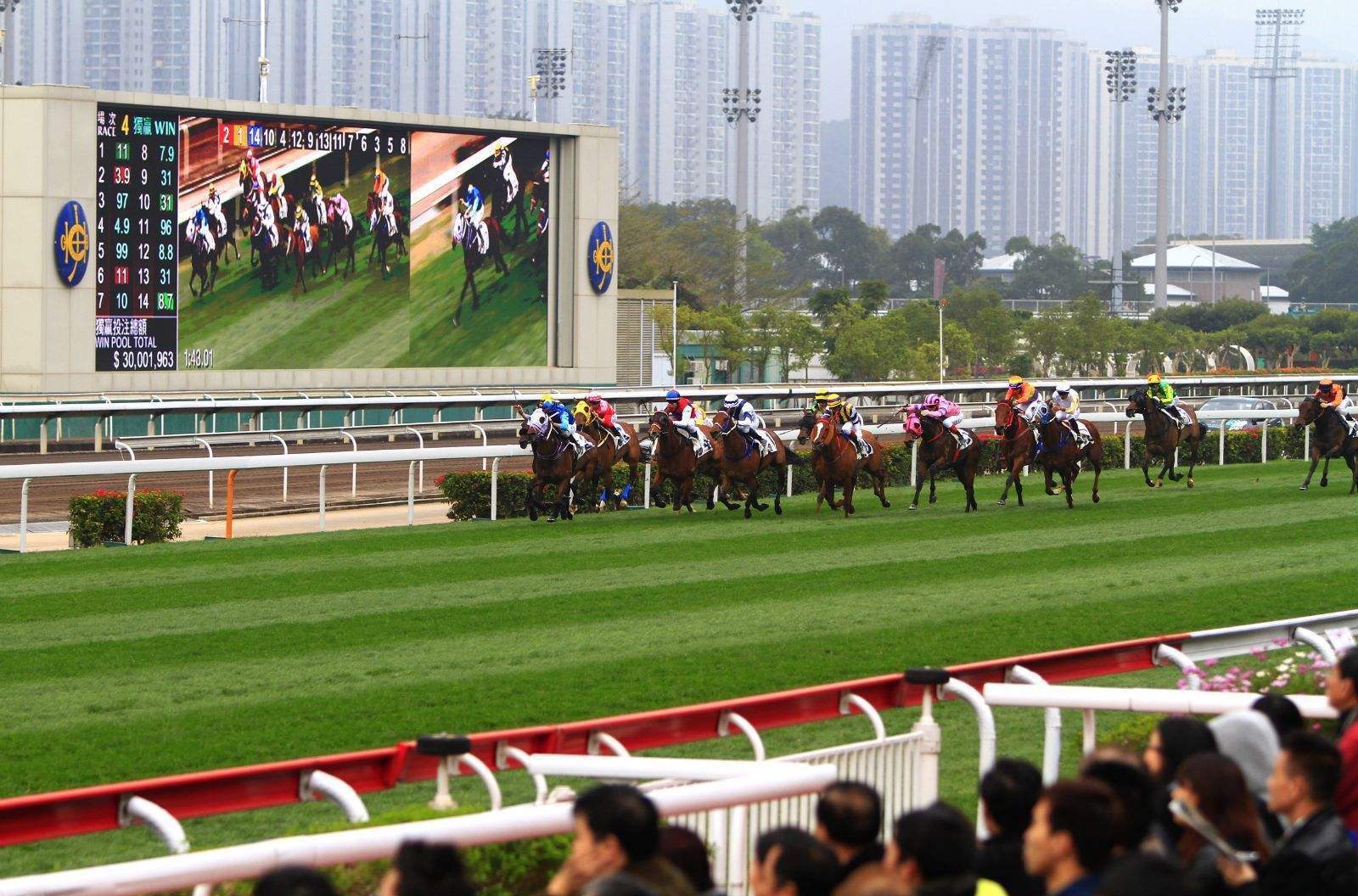 香港沙田馬場-彭福公園位於火炭火車站,賽馬跑道設備之先進在 全球