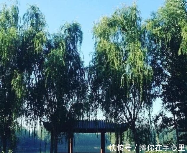 山东临沂地震是真的吗