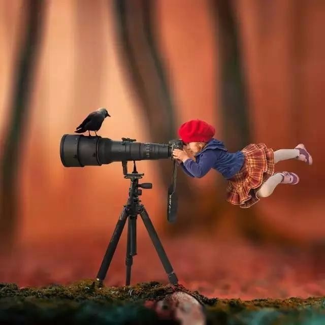 财政部:2017年7月起我国税率将调制11%