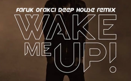 Wake Me Up(Avicii演唱歌曲)_360百科