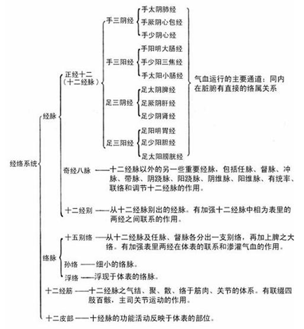 经络系统 360百科