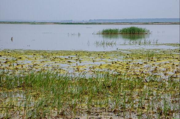 四平市图册_360百科