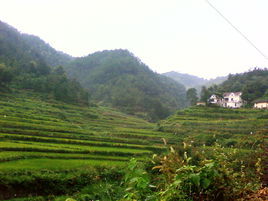 新田村图册_360百科