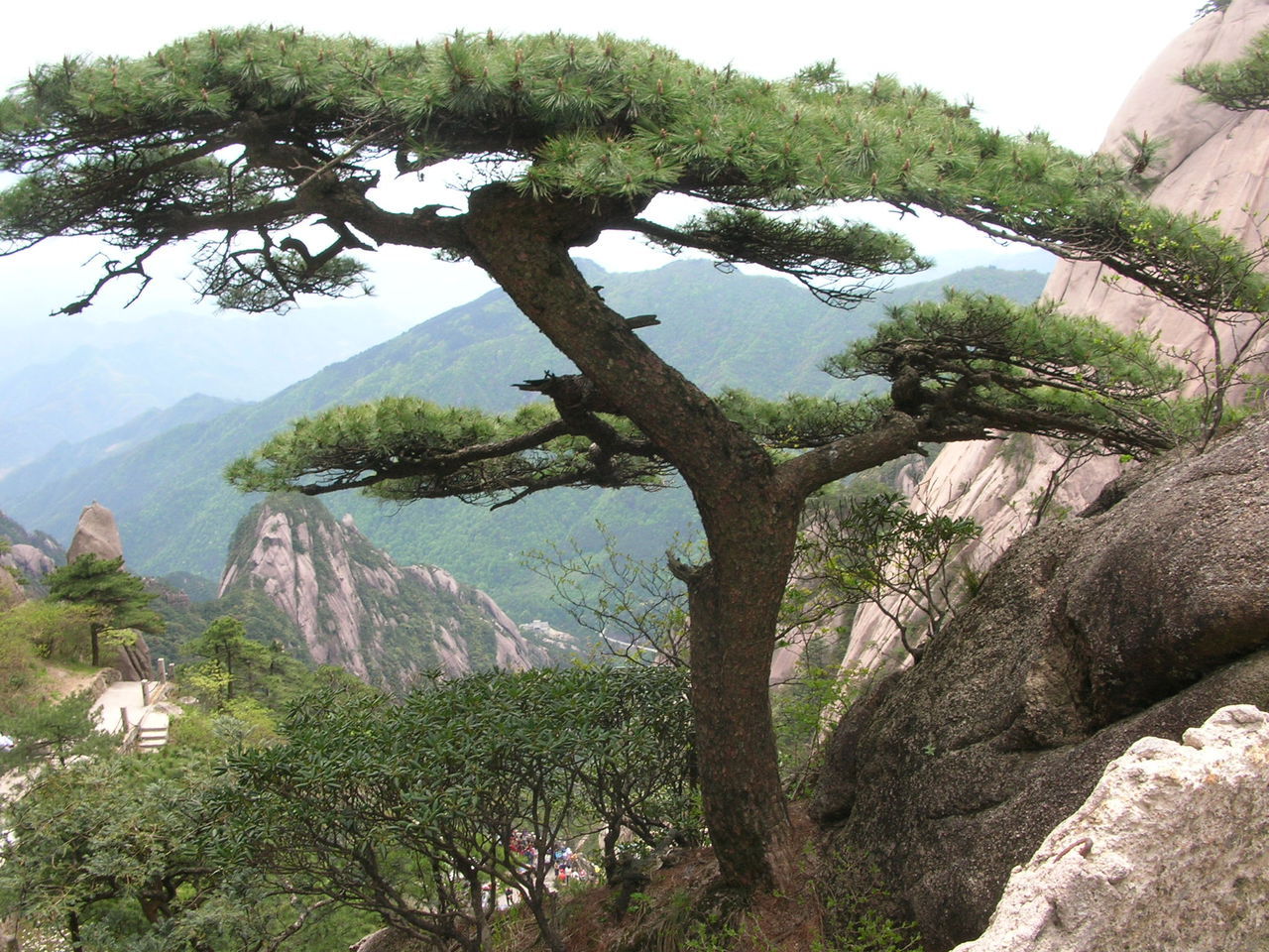 Huangshan (Yellow Mountain) Travel Costs & Prices - Tunxi, Tangkou, Yellow Mountain, Hiking ...