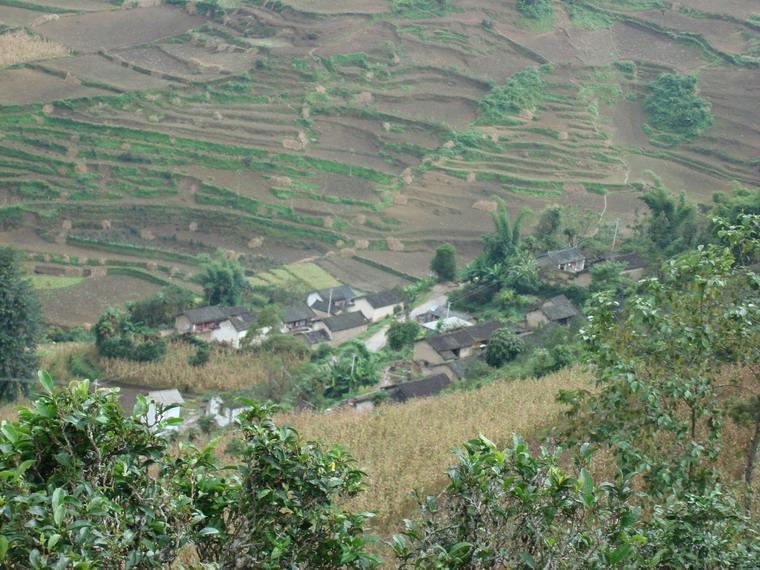 牛歇场村(云南省普洱市思茅区六顺乡牛歇场村)_360百科