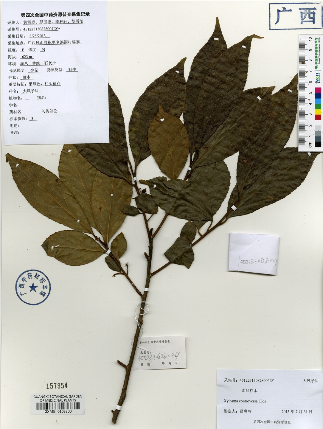 南岭柞木图册_360百科