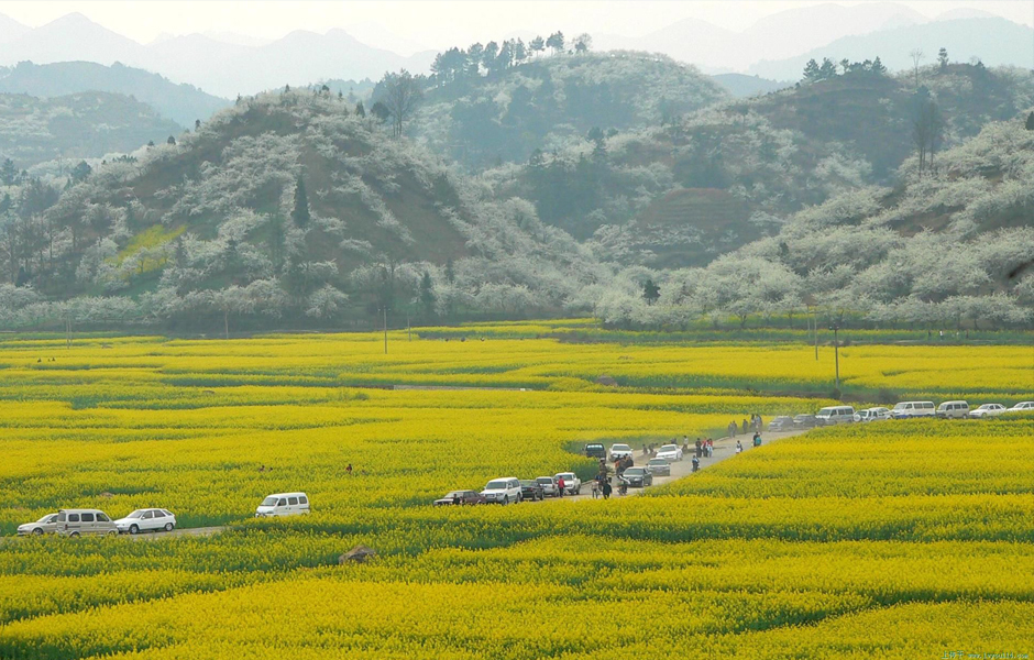 金海雪山图册_360百科