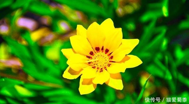 没有没有的句子