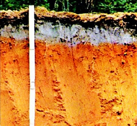 母质层地形地貌地理