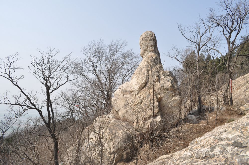 如何在涂山开户线上进行注册和登录