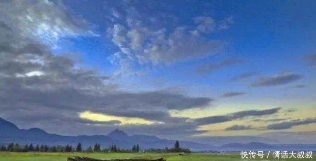 一个字母的车牌