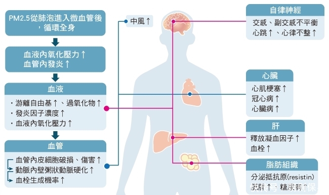 空气污染环境污染