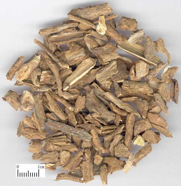 地骨皮_360百科