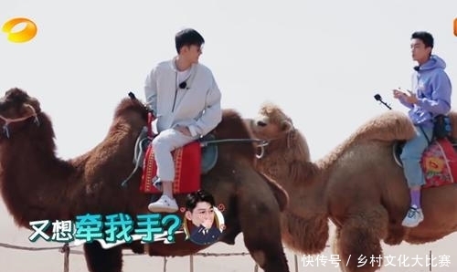 牙刷和电动牙刷什么好