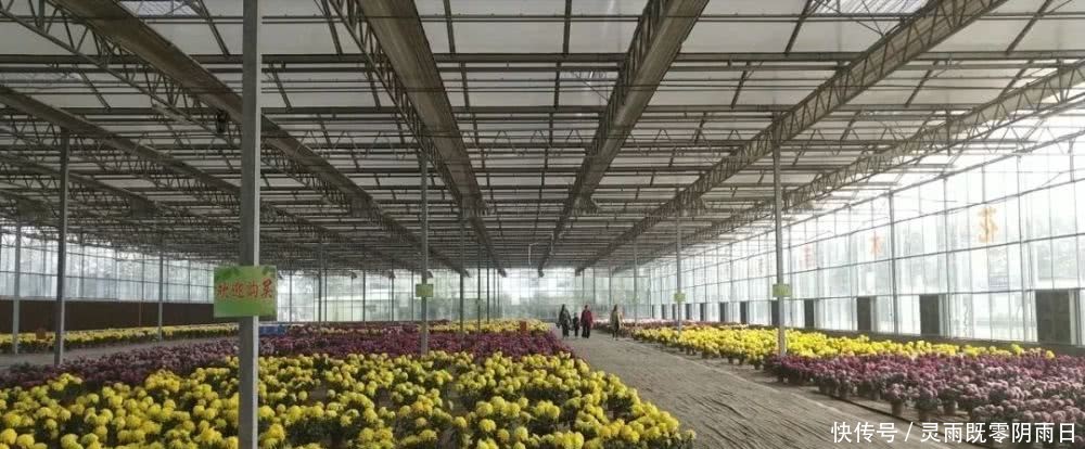 2019主要工作情况