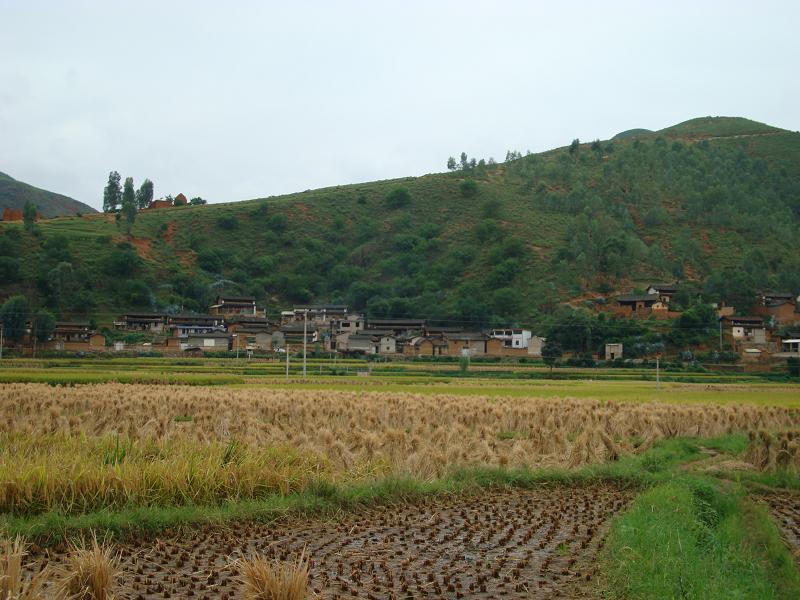 华竹村图册_360百科