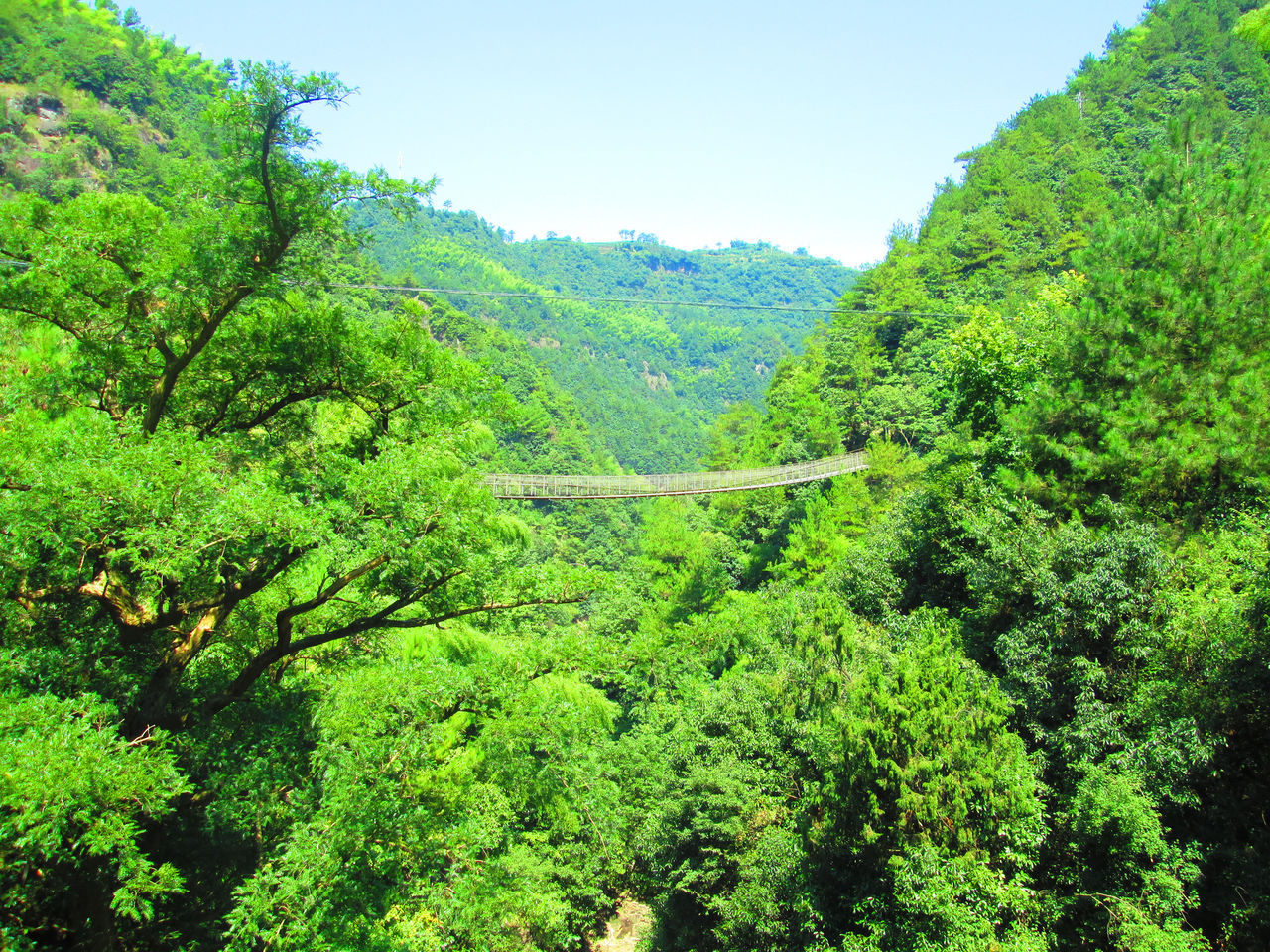 山重水复疑无路,柳暗花明又一村图册_360百科