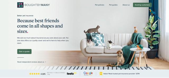 今日头条系列用户