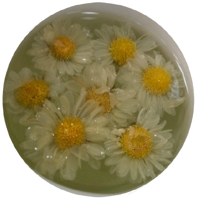 滁菊 360搜索