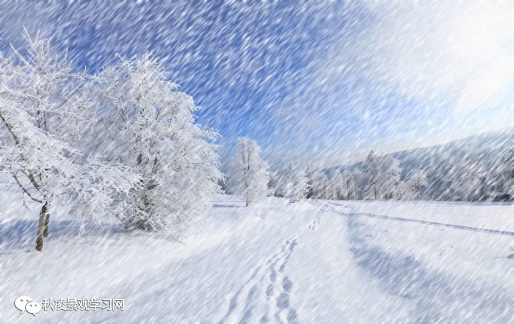 大雪纷飞图册_360百科