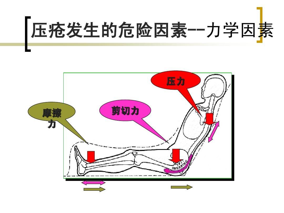 剪切力基础医学地理