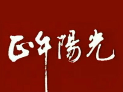从正午阳光电视剧看现代家庭关系的微妙变化与真挚情感