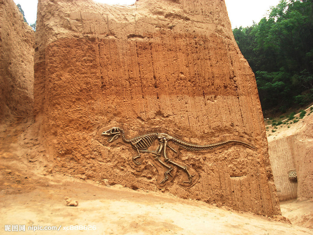 【北京日报】北京猿人头盖骨化石模型重磅展出！90件珍贵化石再现传奇----中国科学院古脊椎动物与古人类研究所