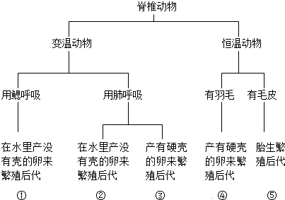 脊椎动物图册 360百科