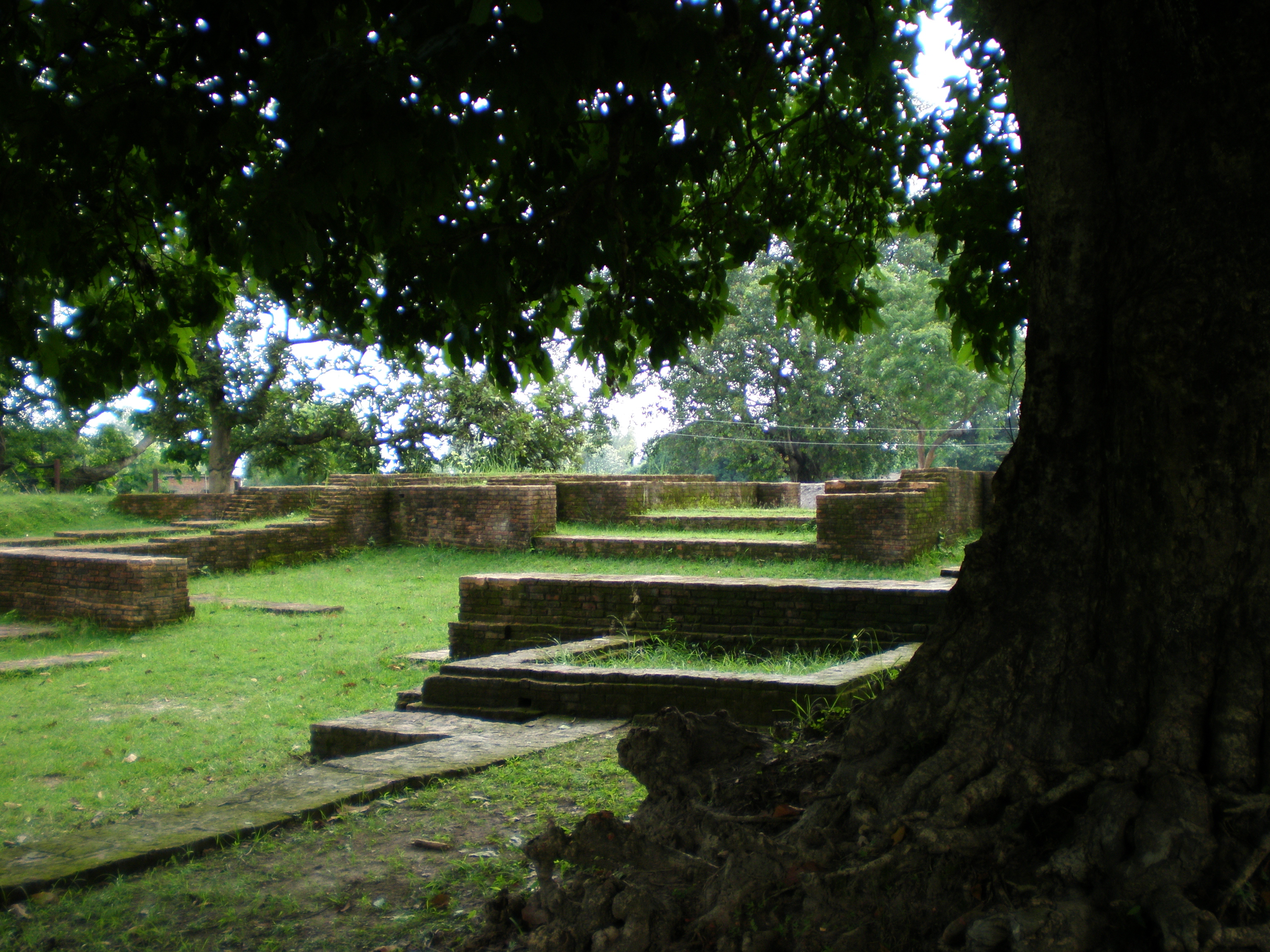 迦毗罗卫城的王宫遗址