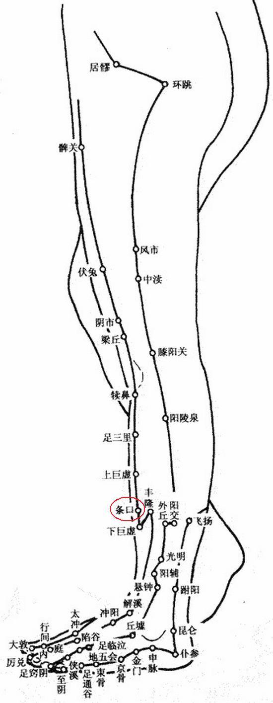 条口的准确位置图图片