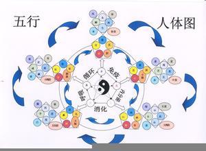 五志图册_360百科
