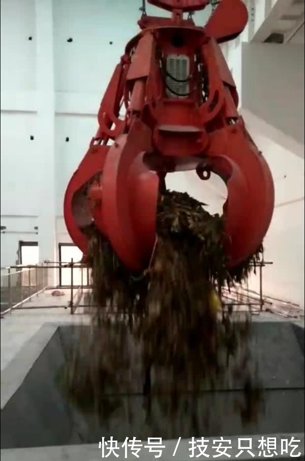 生活垃圾分类管理实行