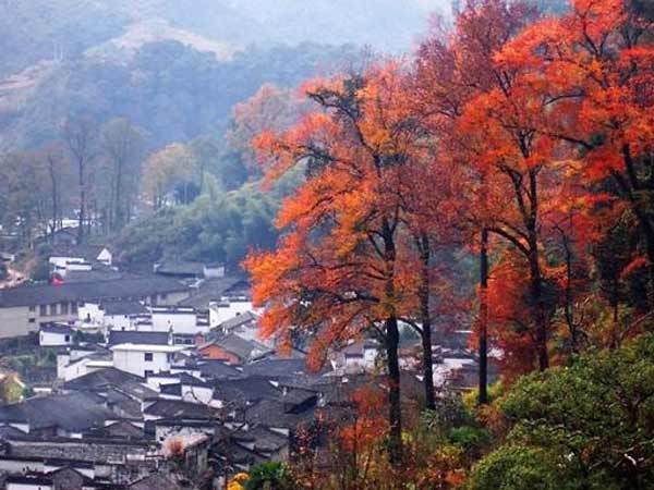 石城村图册_360百科