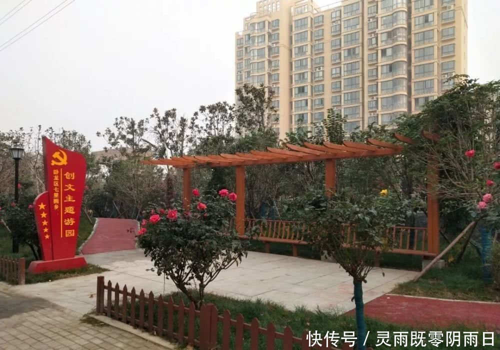 2019主要工作情况