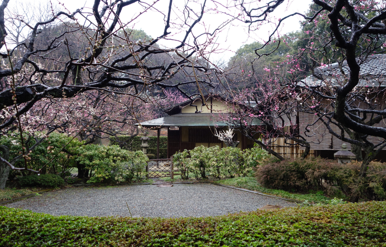 新宿御苑图册 360百科