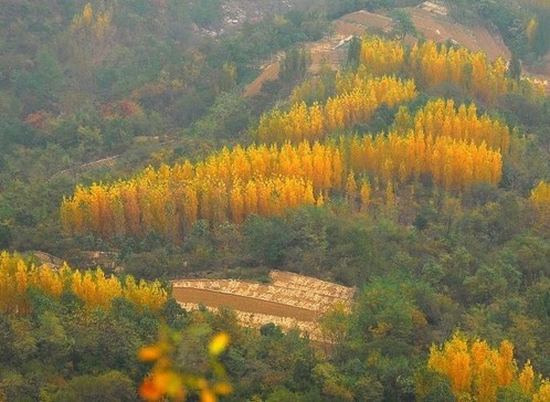 万仙山图册_360百科